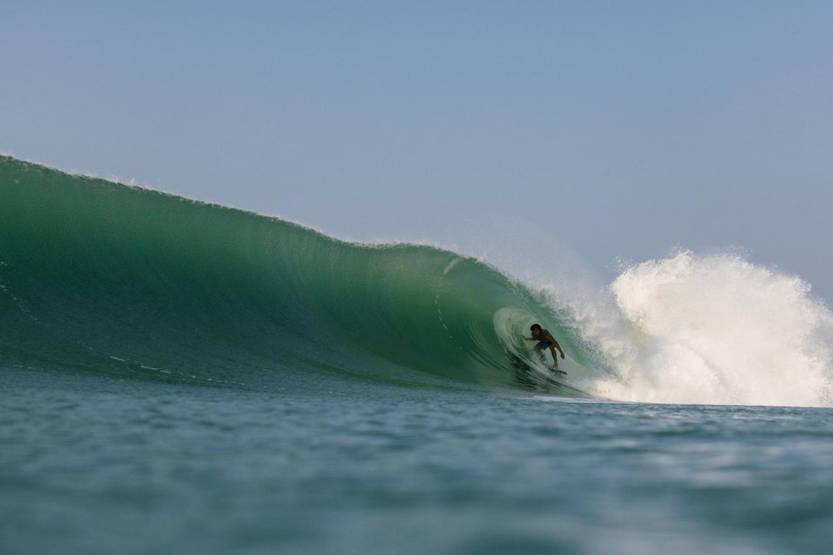 Pelos in the barrel