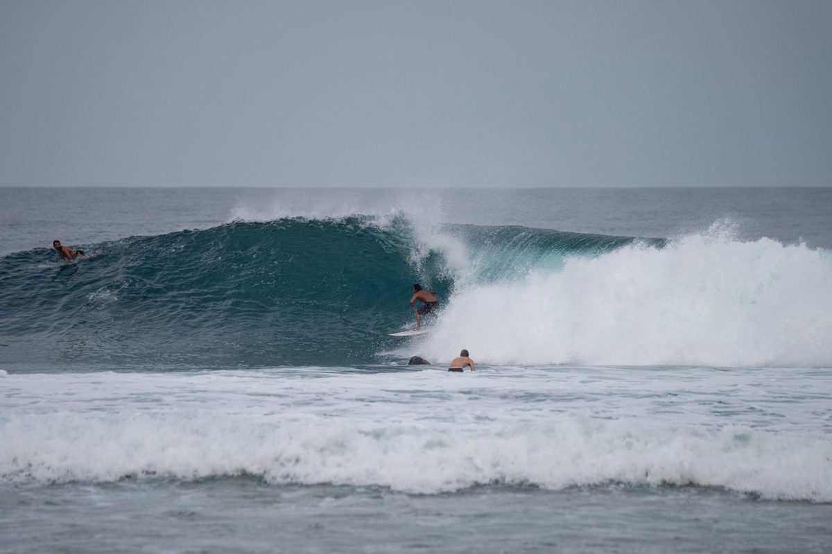 Pelos in the barrel